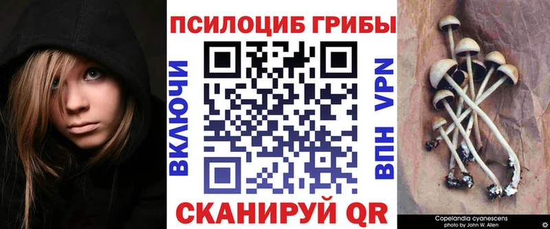 Галлюциногенные грибы мицелий Пересвет