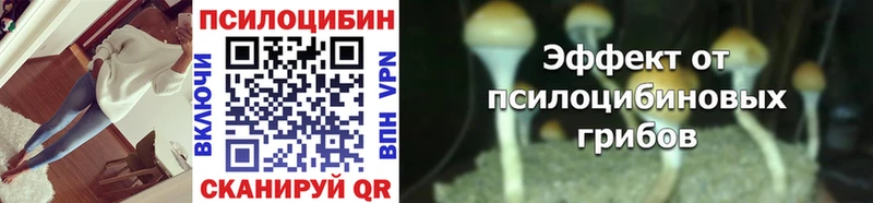 Псилоцибиновые грибы мухоморы  Пересвет 
